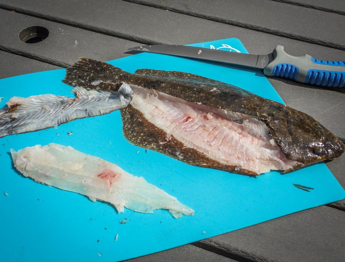 Filet and skin the freshly caught or previously frozen flounder, then dice into bite-sized pieces.