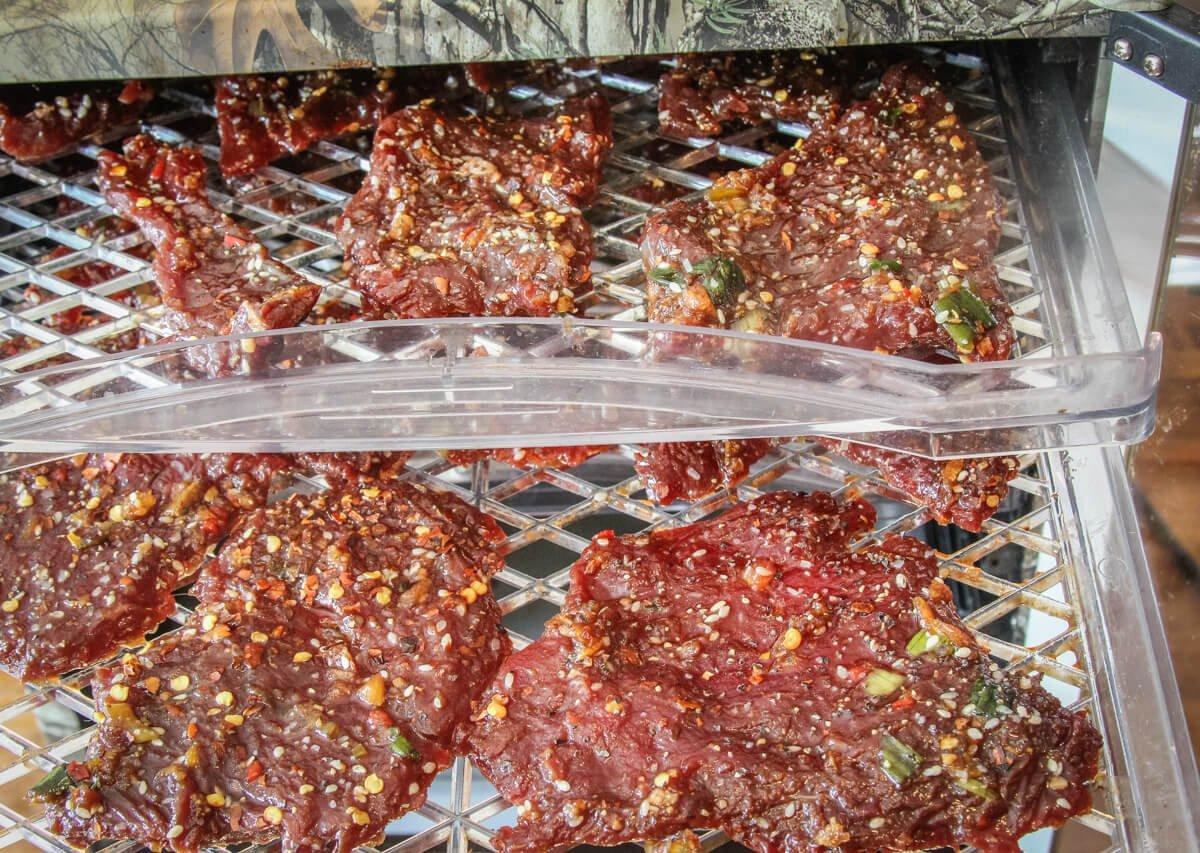 Dry the jerky in your dehydrator until barely flexible.