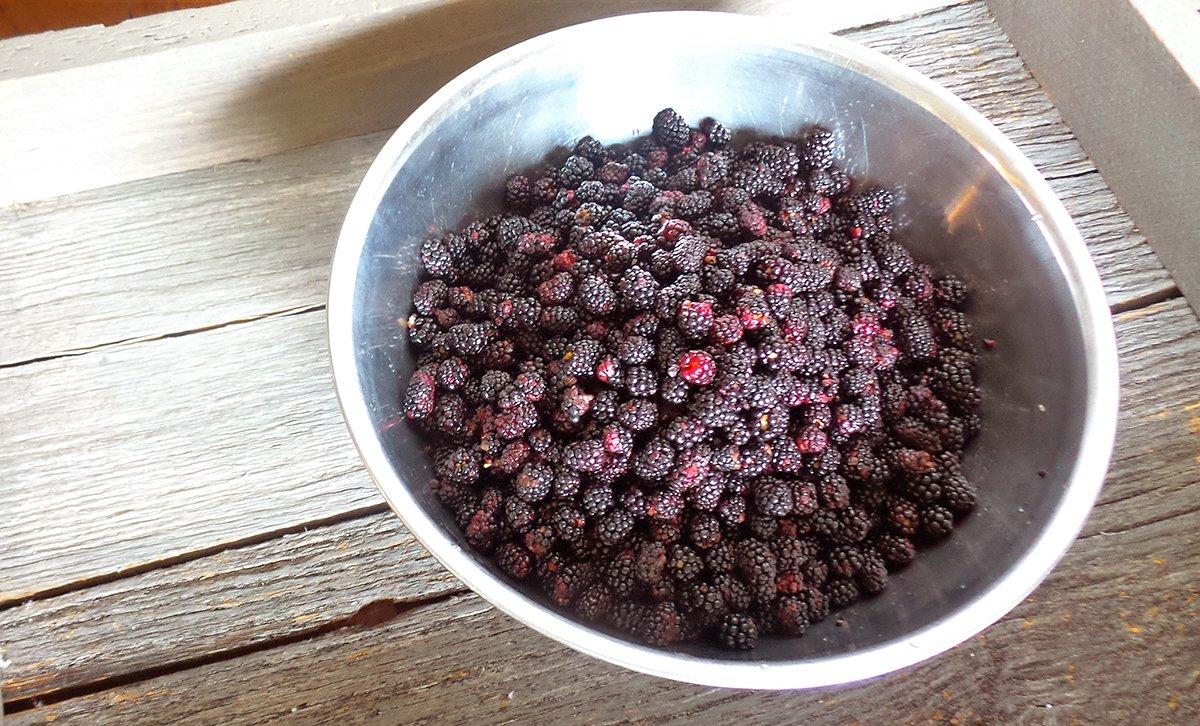 We love fresh blackberries for this recipe, but any canned or frozen fruit will work.