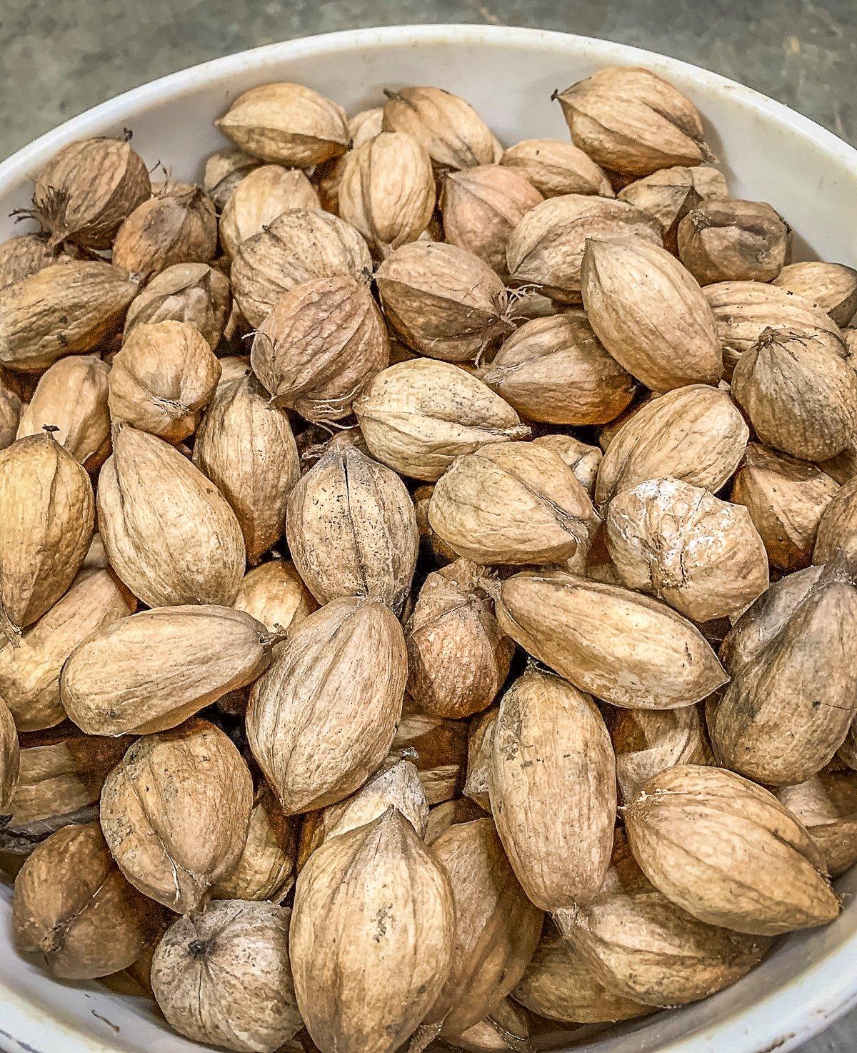 Store the hulled nuts in a 5-gallon bucket or other lidded plastic container.