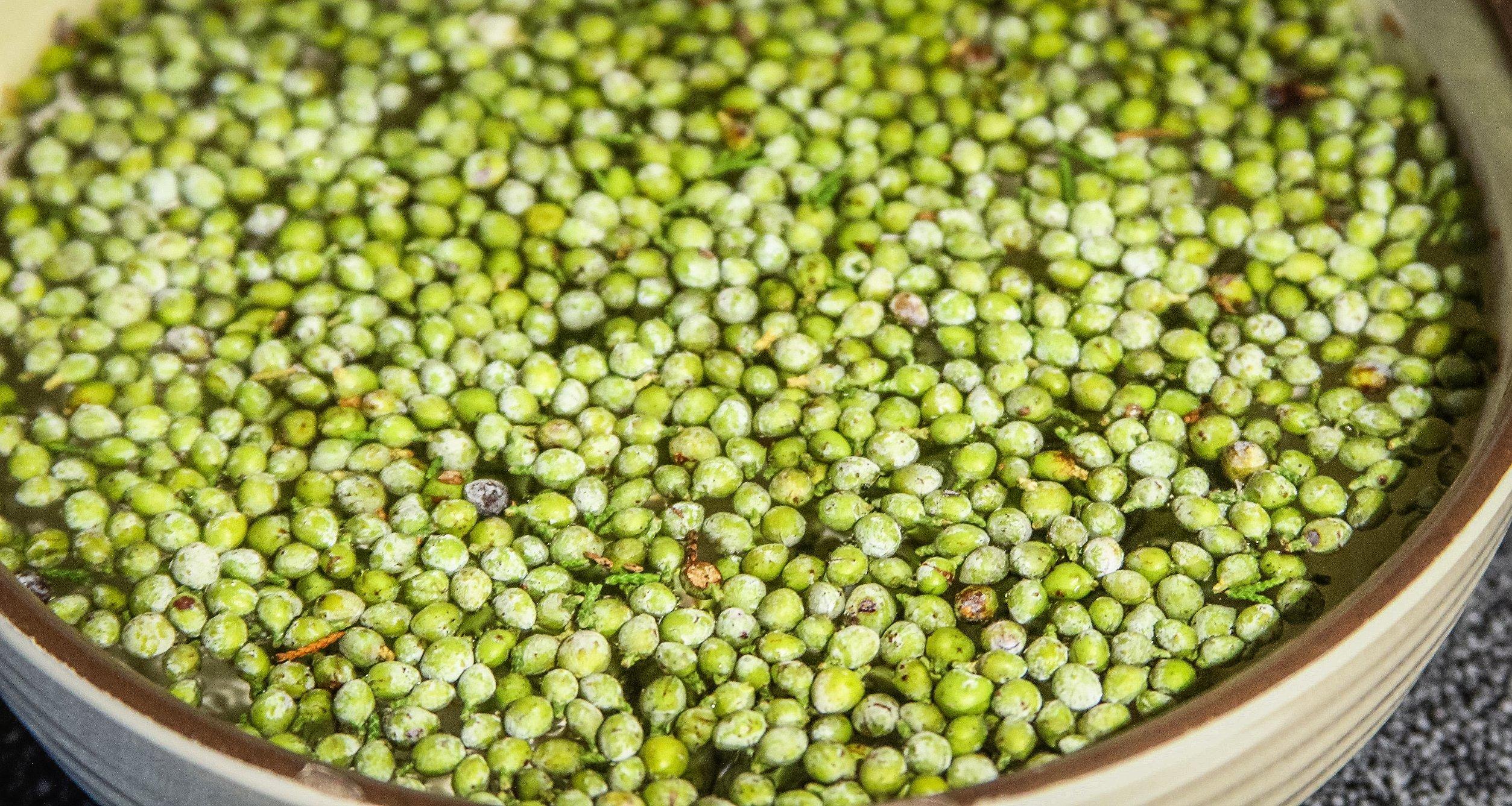 Float the berries in a bowl of water to rinse away any twigs or insects that might have hitched a ride.