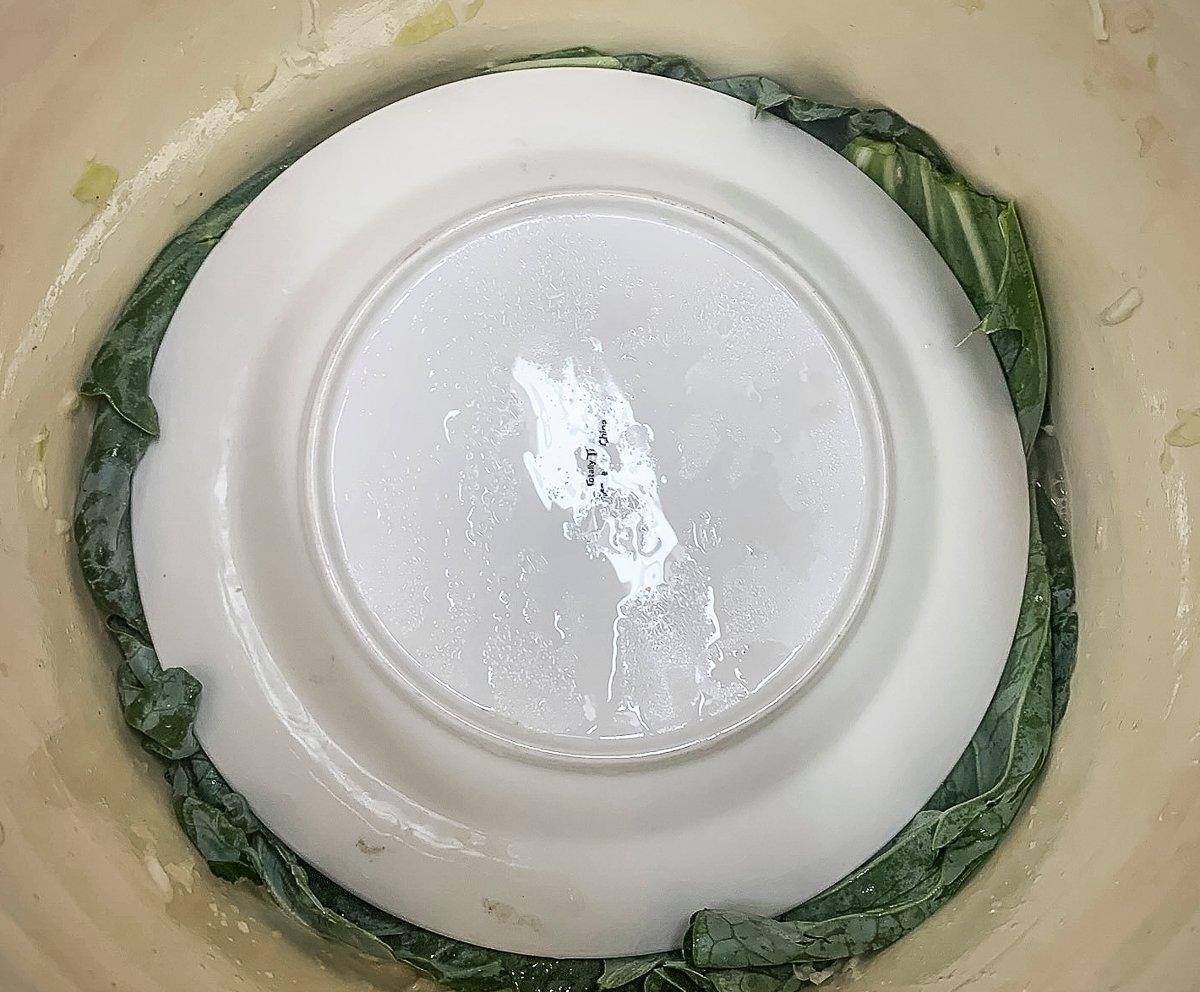 Top the shredded and salted cabbage with a stoneware plate before adding the weights.
