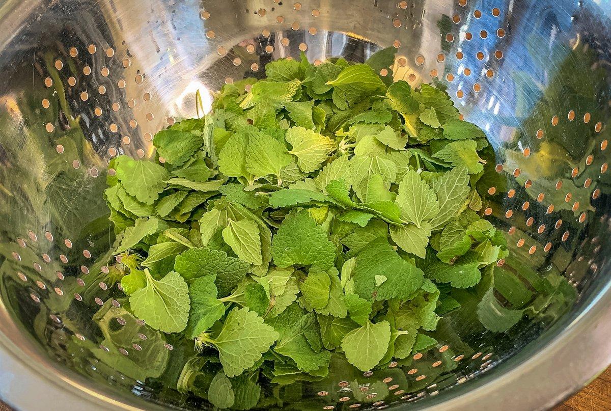 Rinse the plucked leaves under running water before cooking.