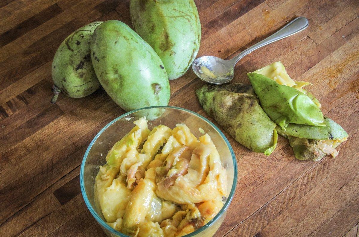 Scoop out the pawpaw flesh from the skin and remove the seeds.