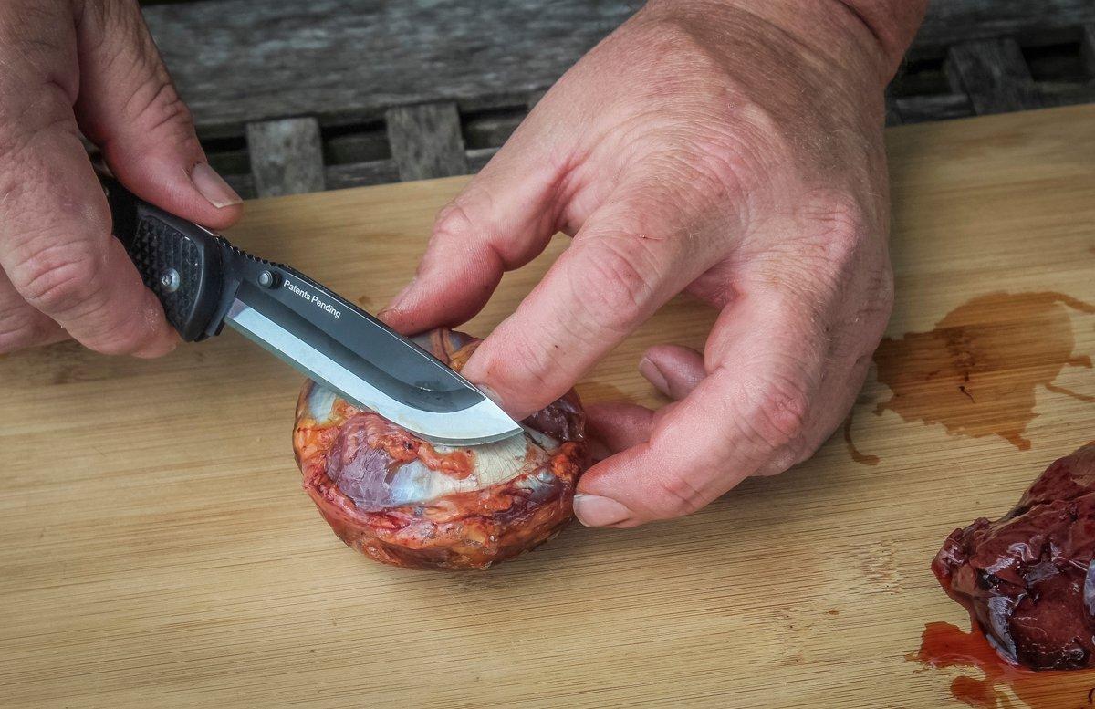 Step 2: Locate the diagonal line across the gizzard.