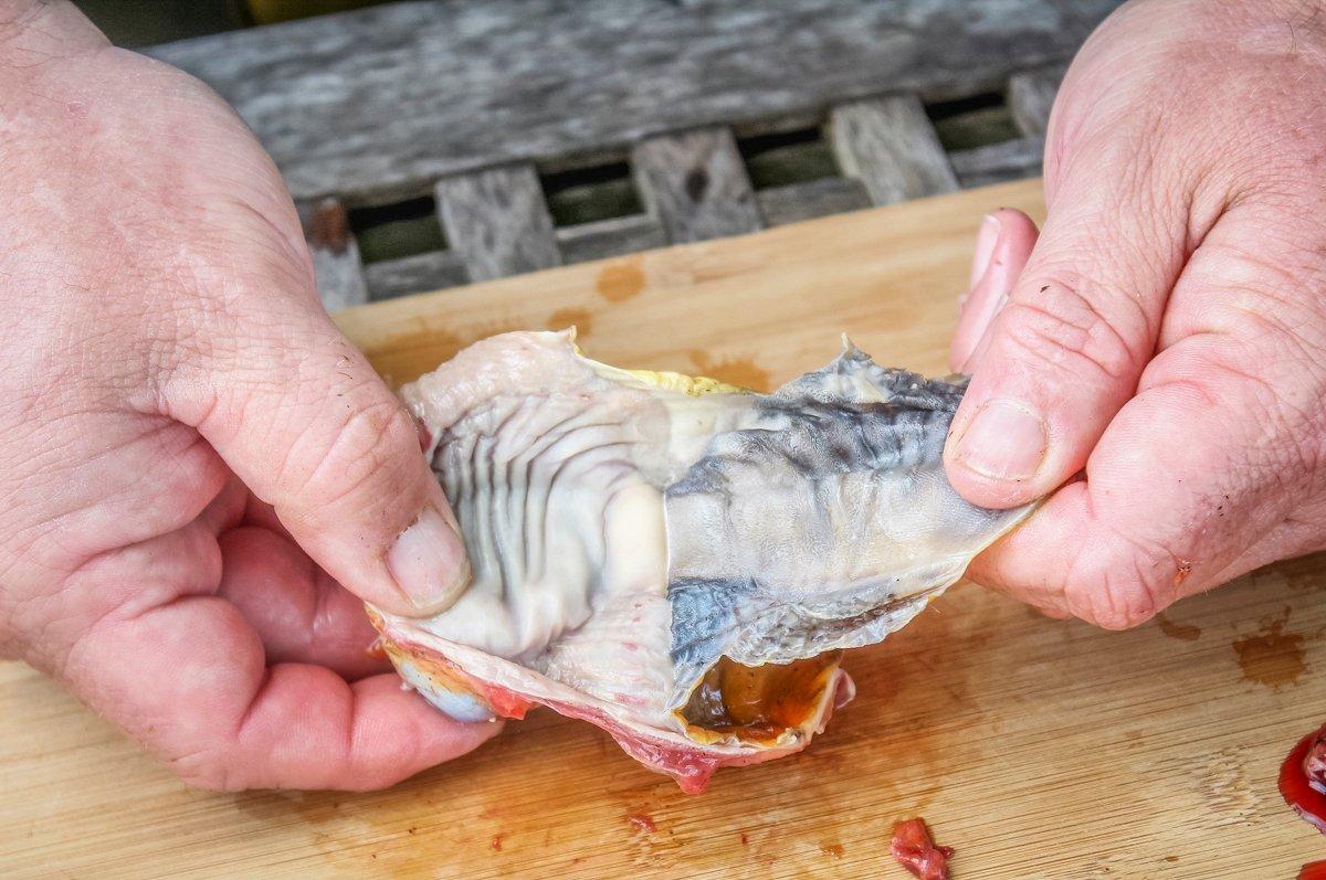 Peel away the layer of dark heavy liner from the inner gizzard.