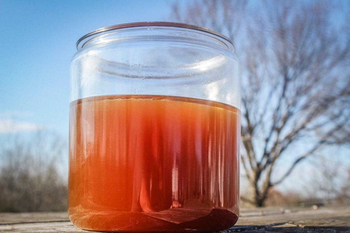 Skim any fat that rises to the surface of the broth.