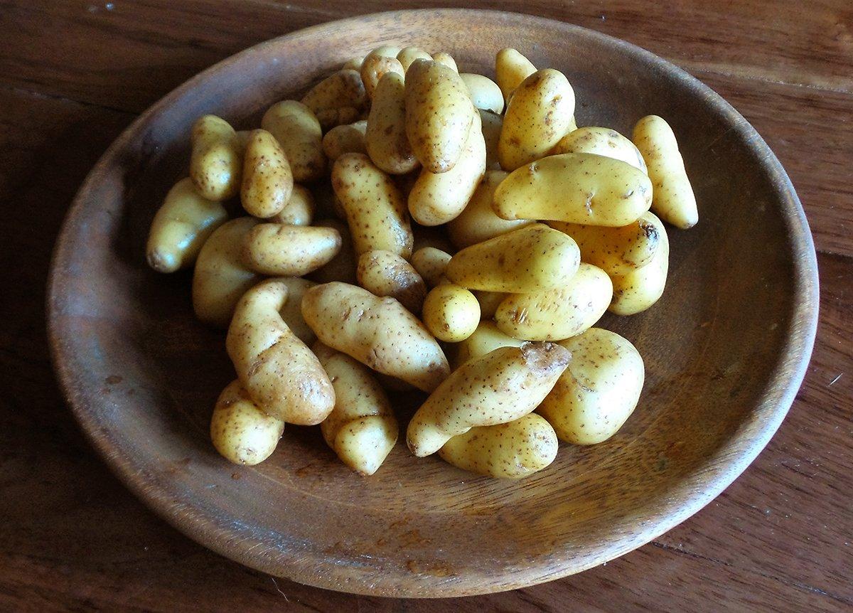 Fingerling potatoes are small and tender, making them cook quickly. 