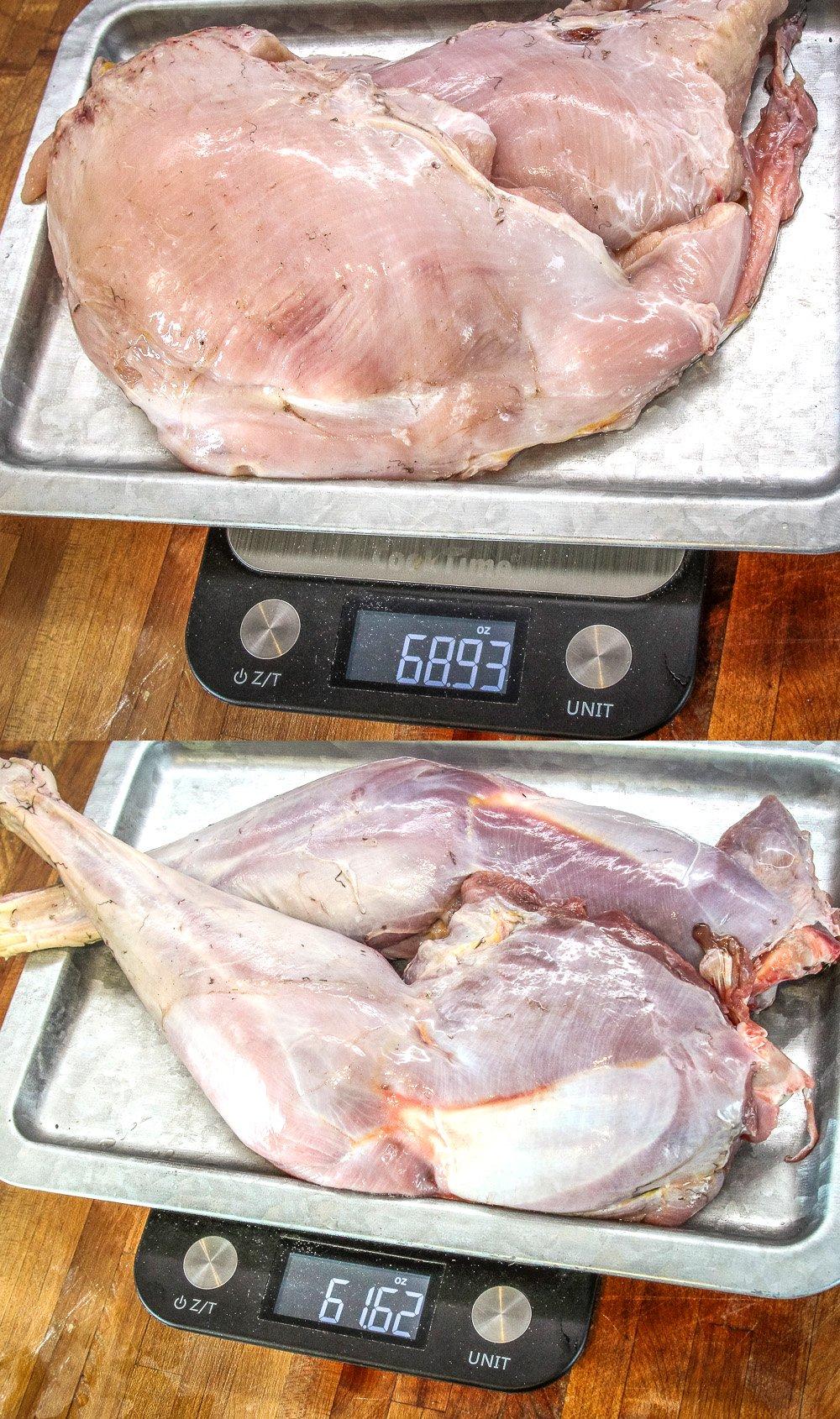 Turkey legs and thighs on an adult gobbler weigh nearly the same as the breast meat.