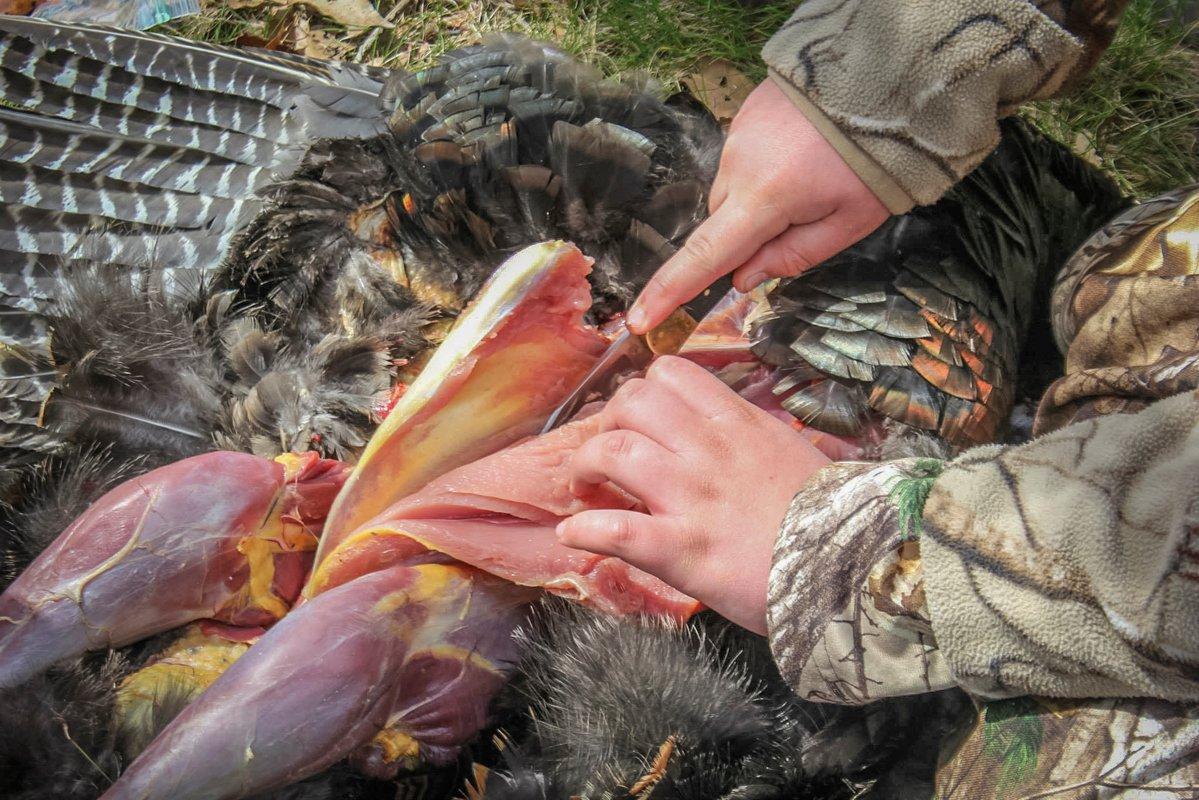 When temps get warm, skin your bird and get it on ice soon after the hunt.