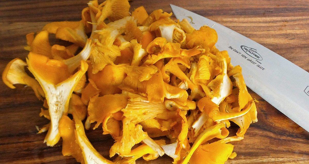 To prepare the mushrooms for drying, gently clean and then slice.