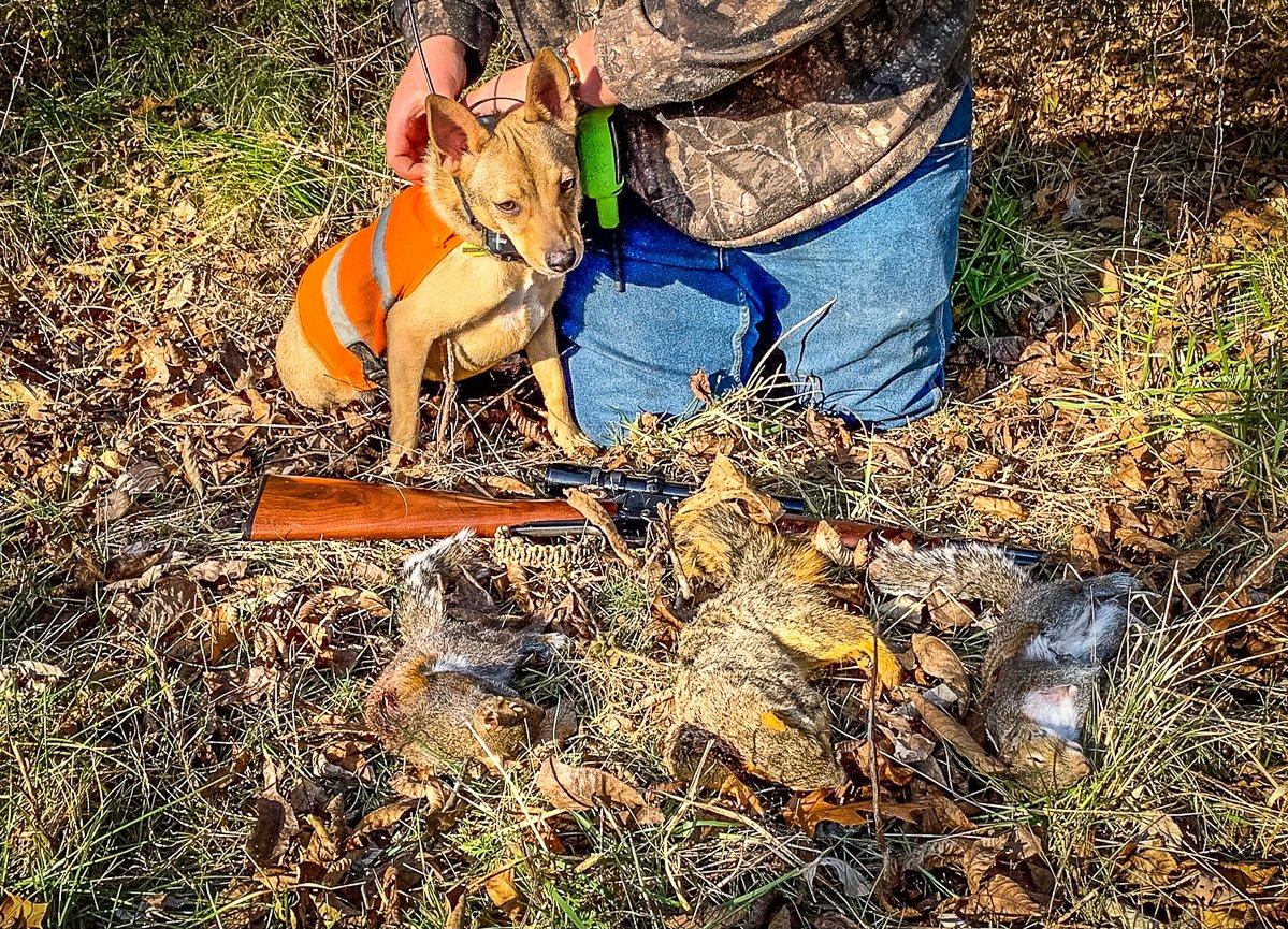 A good morning in the woods with a dog can fill the freezer with squirrel meat. Image by Michael Pendley