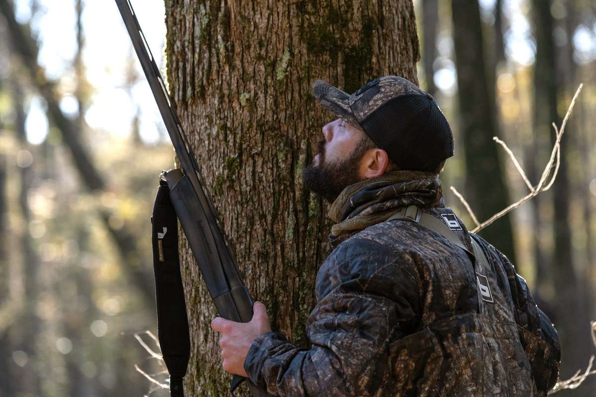 Ducks have been scarce and scattered through southern regions of the Atlantic Flyway. Photo © Phil Kahnke Ducks have been scarce and scattered through southern regions of the Atlantic Flyway. Photo © Phil Kahnke