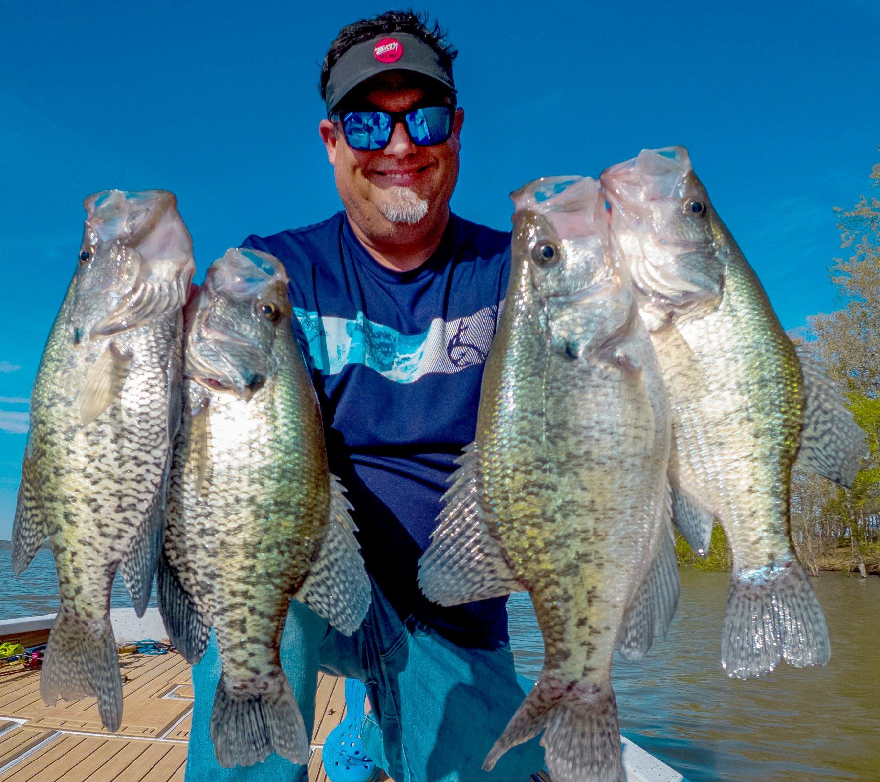 Image: crappie_rules_2