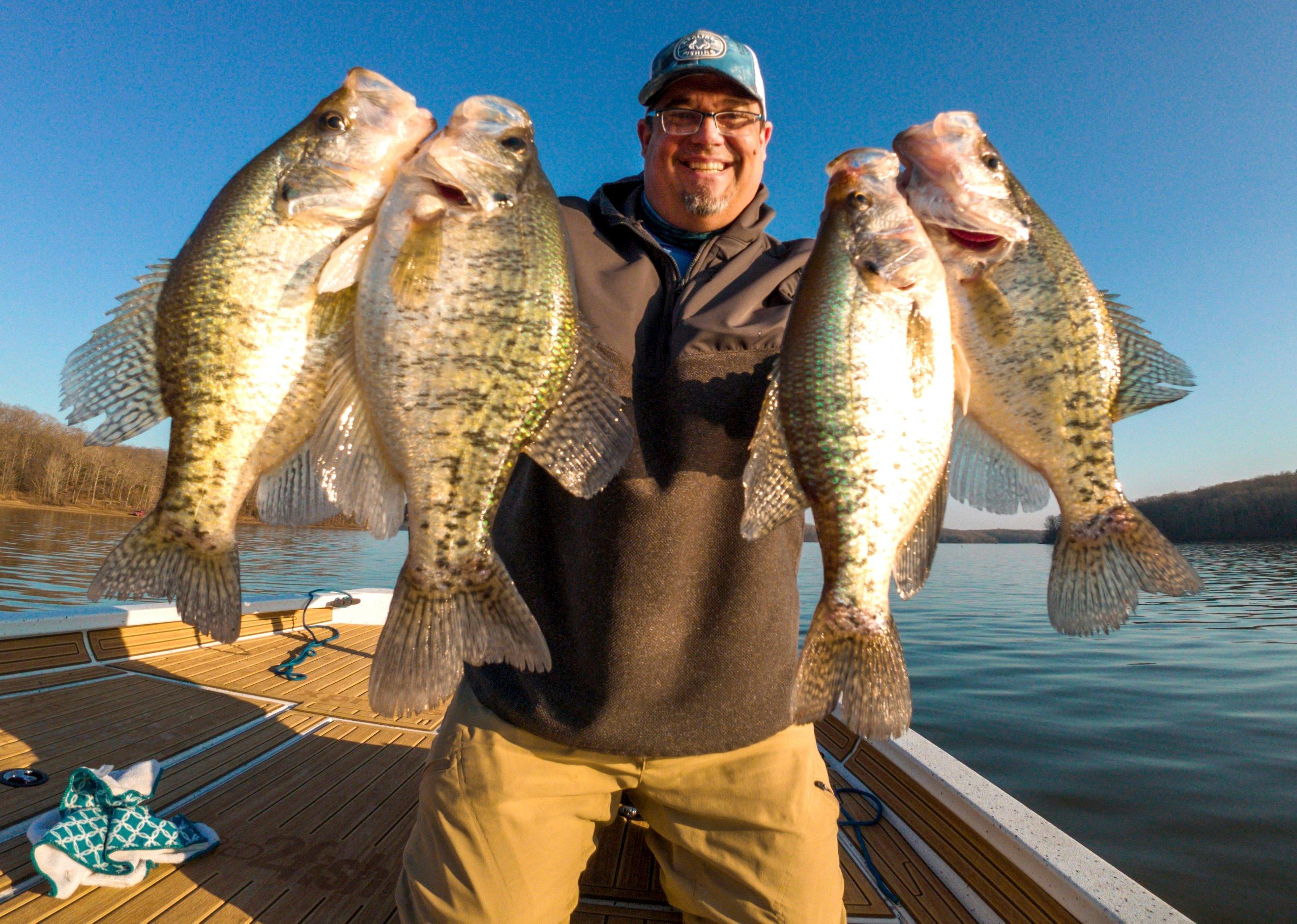 Image: crappie_rules_3
