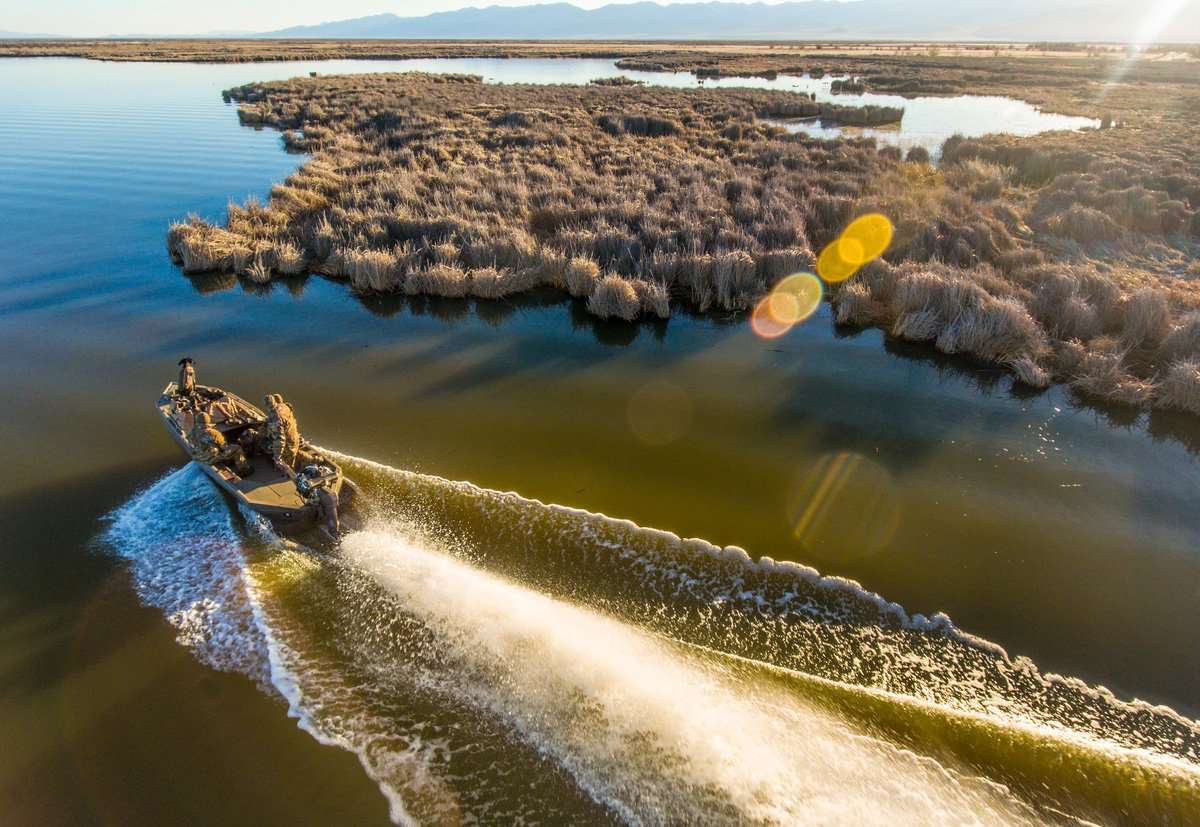 Duck numbers look good in many areas, including Nevada and portions of Washington. Photo © Tom Rassuchine/Banded