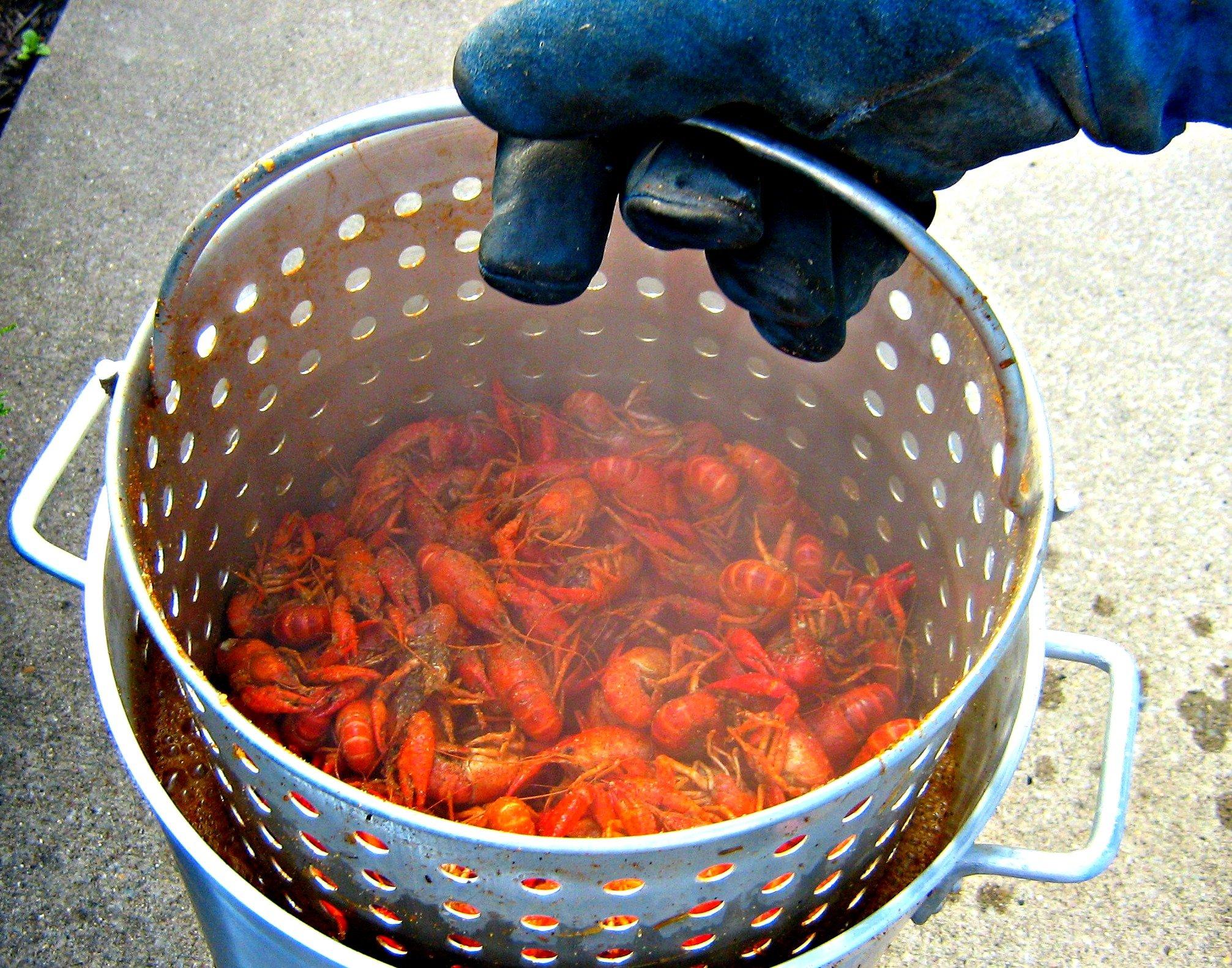 Slowly lift the basket from the pot and let the liquid drain.