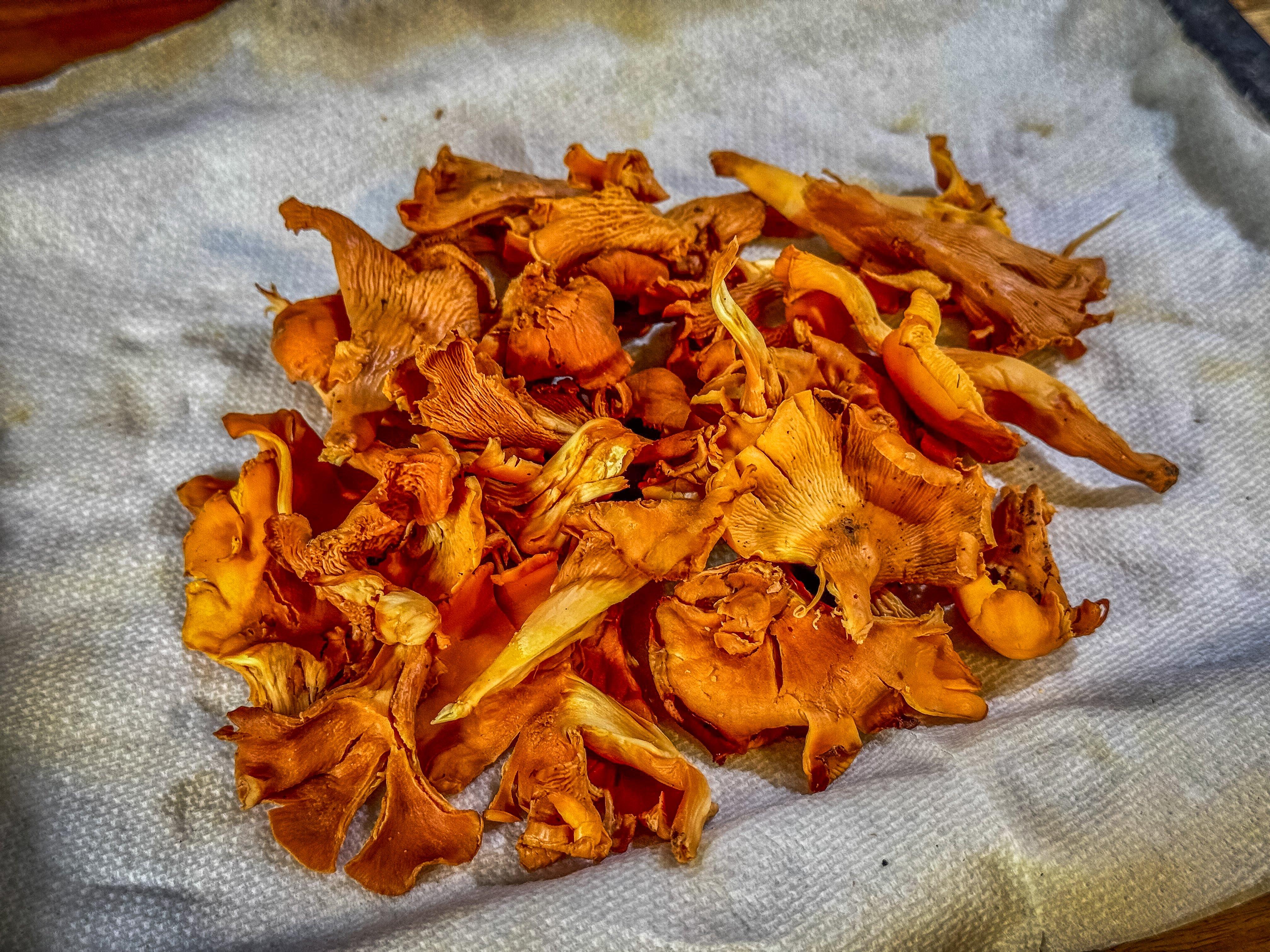 Image: crispy_chanterelles_5