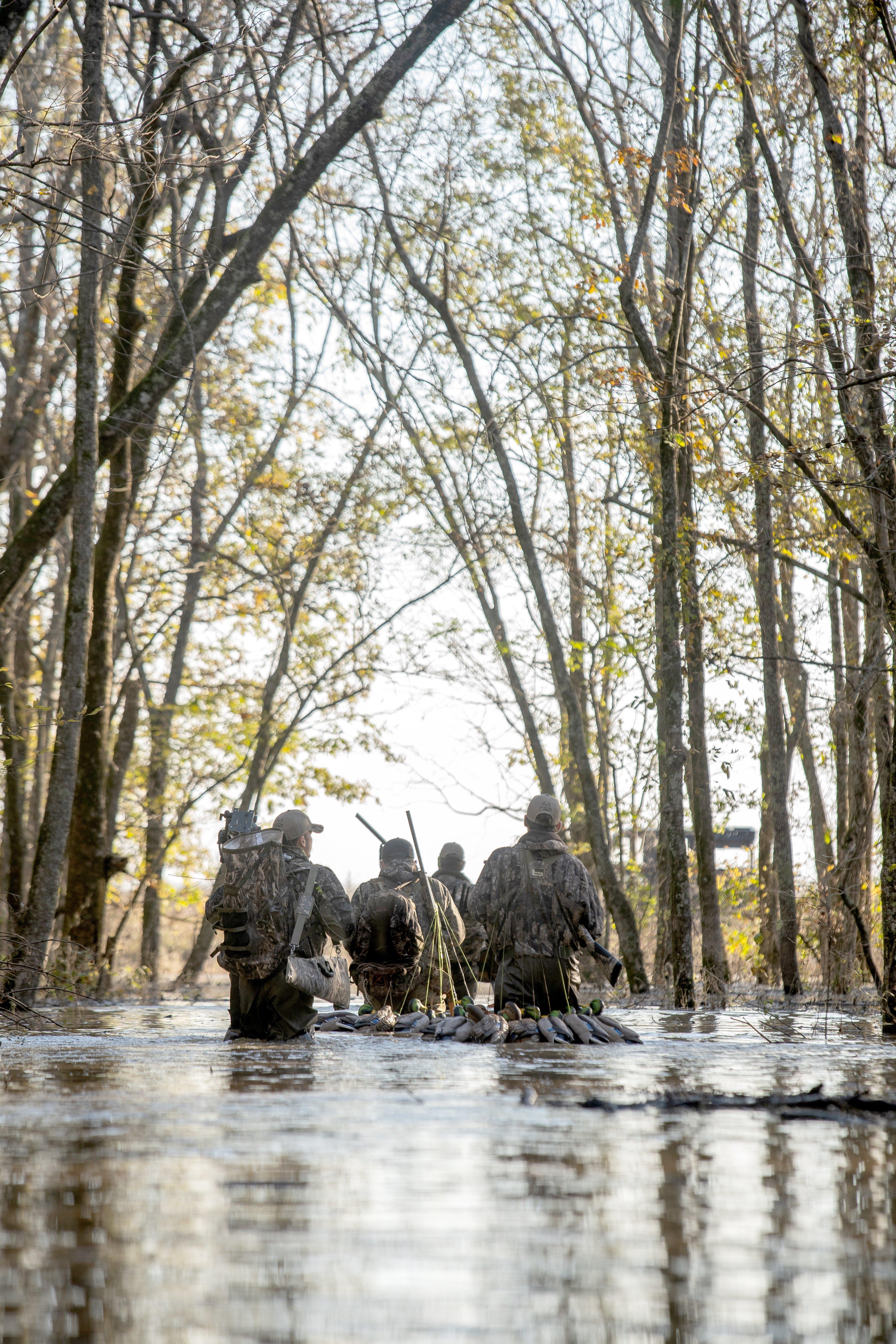 Image: crowded_ducks_4