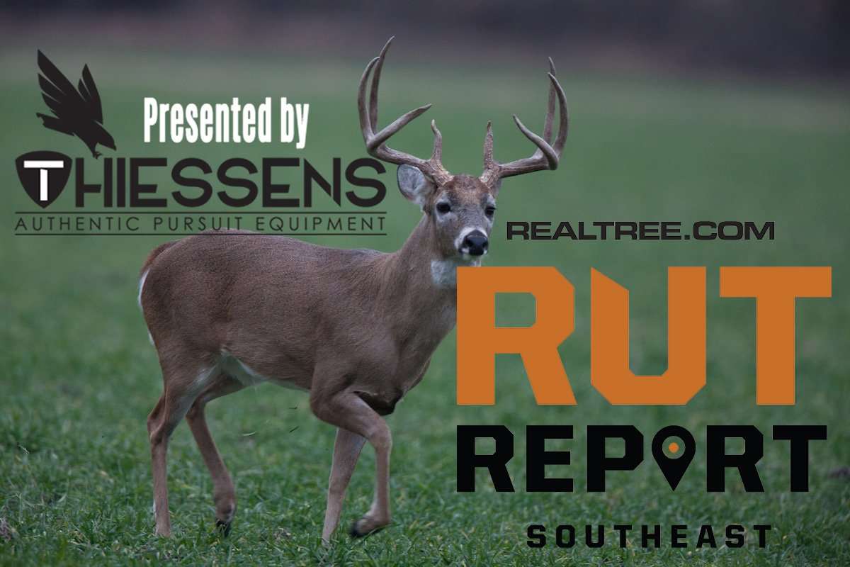 Southeast Rut Report: Cold Front Forecasted to Arrive Early Next Week - crussell_graves-se