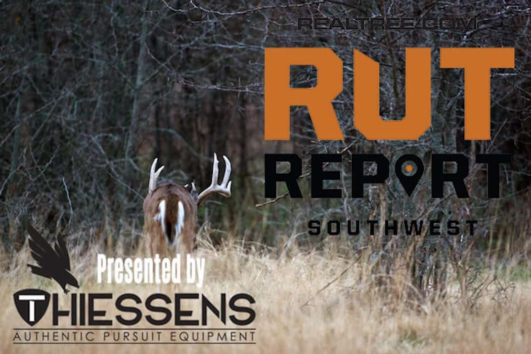 Southwest Rut Report: Bucks Are Searching for Estrus Does - crussell_graves-sw