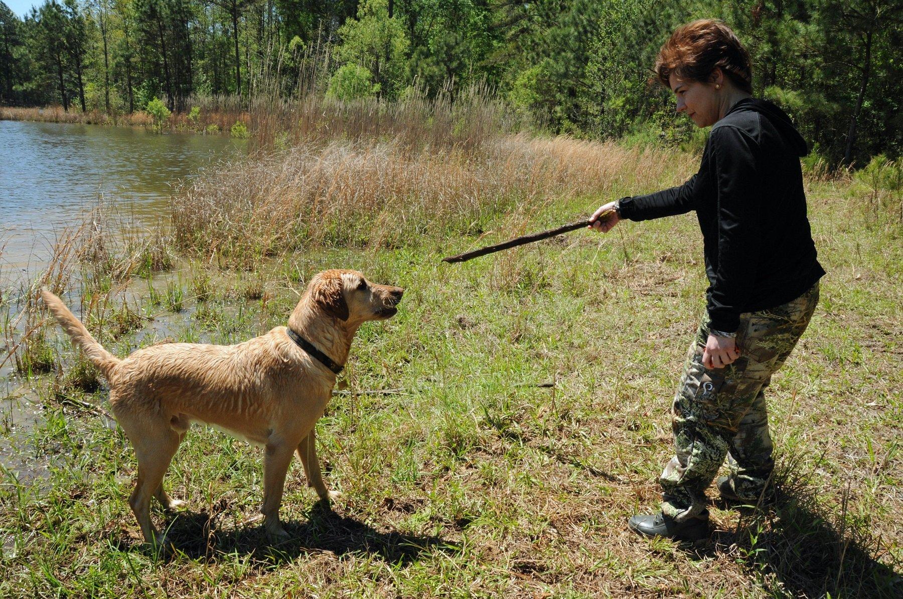 Actively participate in your dog's training. © Stephanie Mallory photo 