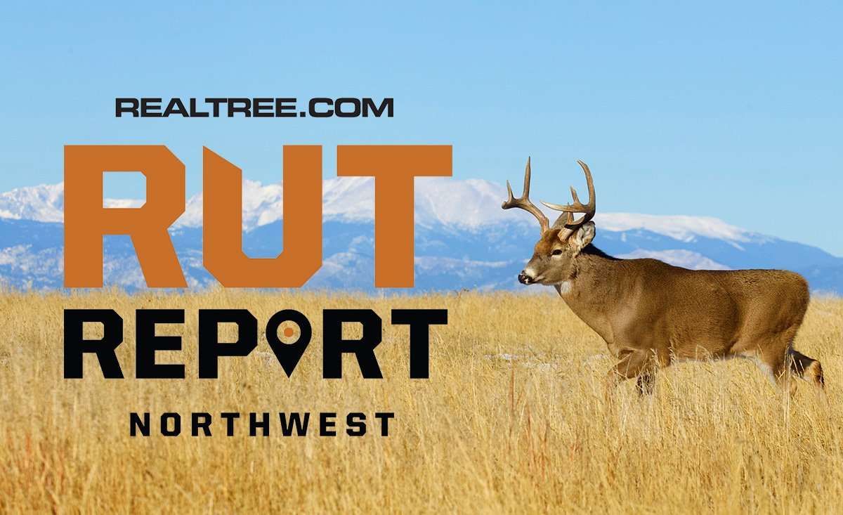 Northwest Rut Report: Late-Season Weather, Patterns Setting In - ctom_reichner-shutterstock-nw_1