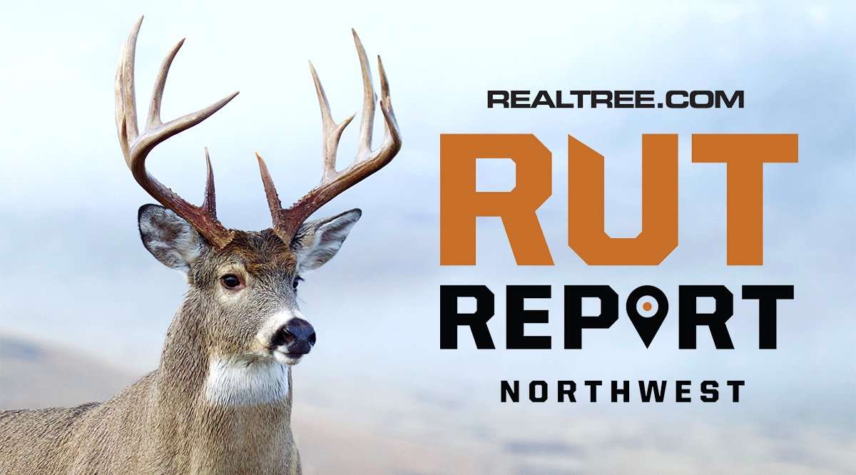Northwest Rut Report: Find the Food in the final Days - ctom_reichner-shutterstock-nw_2