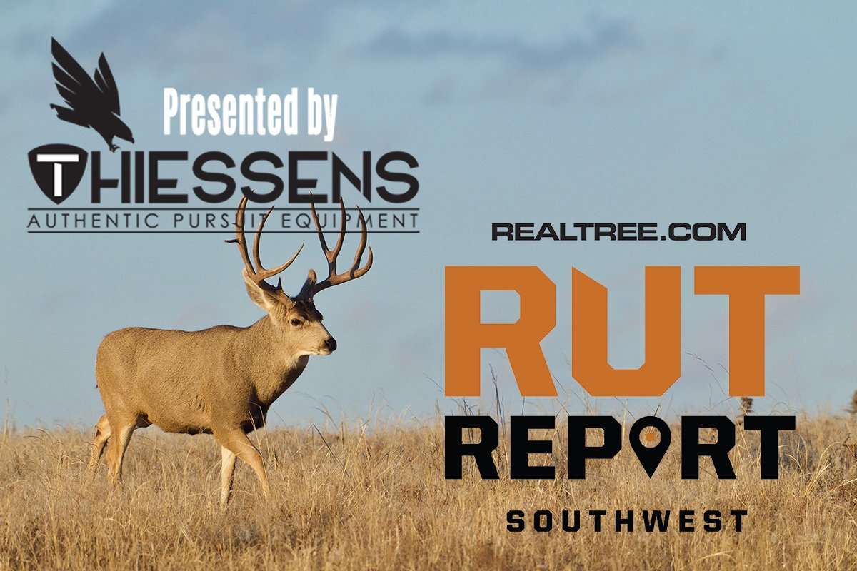 Southwest Rut Report: The Rut Is Almost Over - Realtree Camo