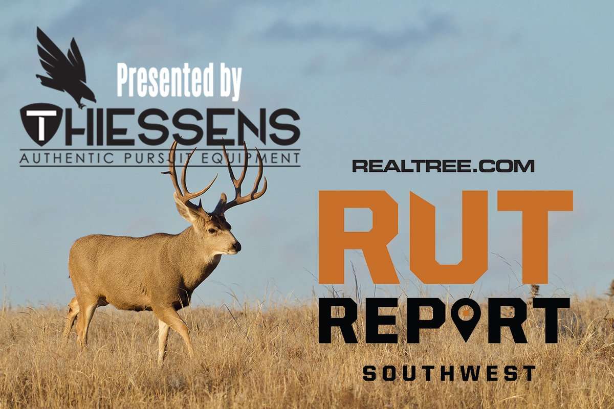 Southwest Rut Report: The Rut Is Almost Over - ctom_reichner-shutterstock-sw-2