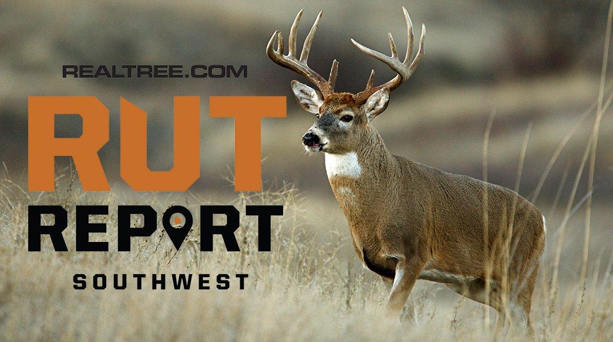 Southwest Rut Report: Mule Deer, Whitetail Action Still Good Region-Wide - ctom_reichner-shutterstock-sw_0