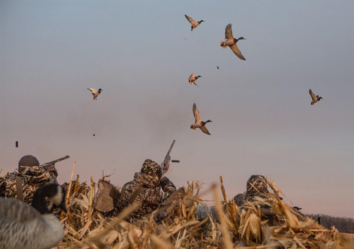 Sideways Cupped and Committed