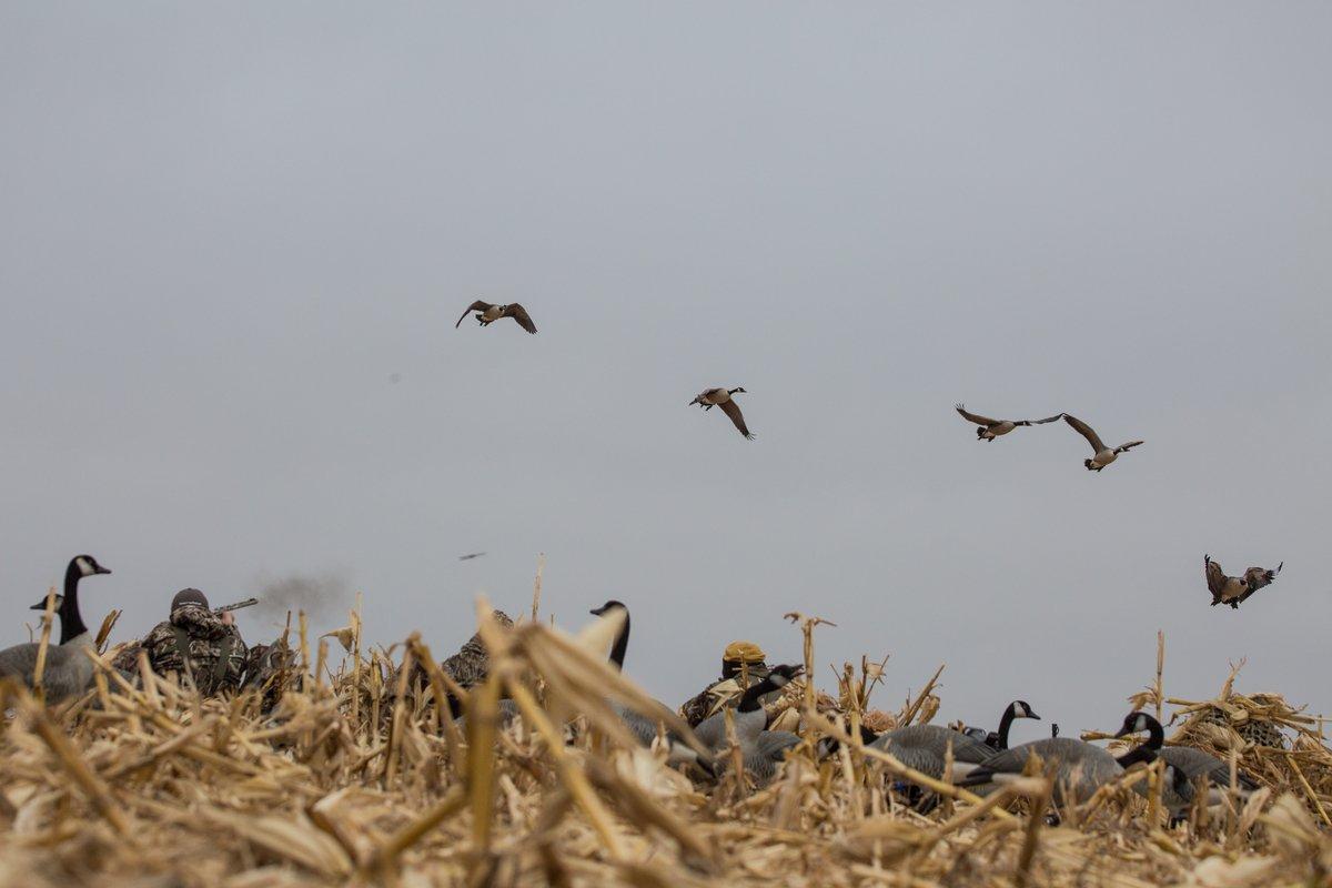 Skilled pit bosses lead calling efforts and call shots at opportune times. Photo © Tom Rassuchine/Banded