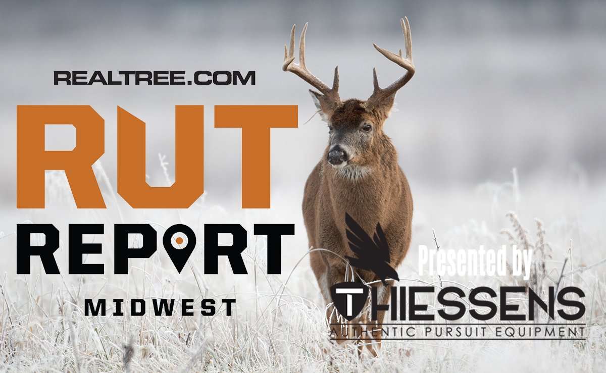 Midwest Rut Report: Mature Buck Scraping Activity Picking Up in Daylight - ctony_campbell-shutterstock-mw