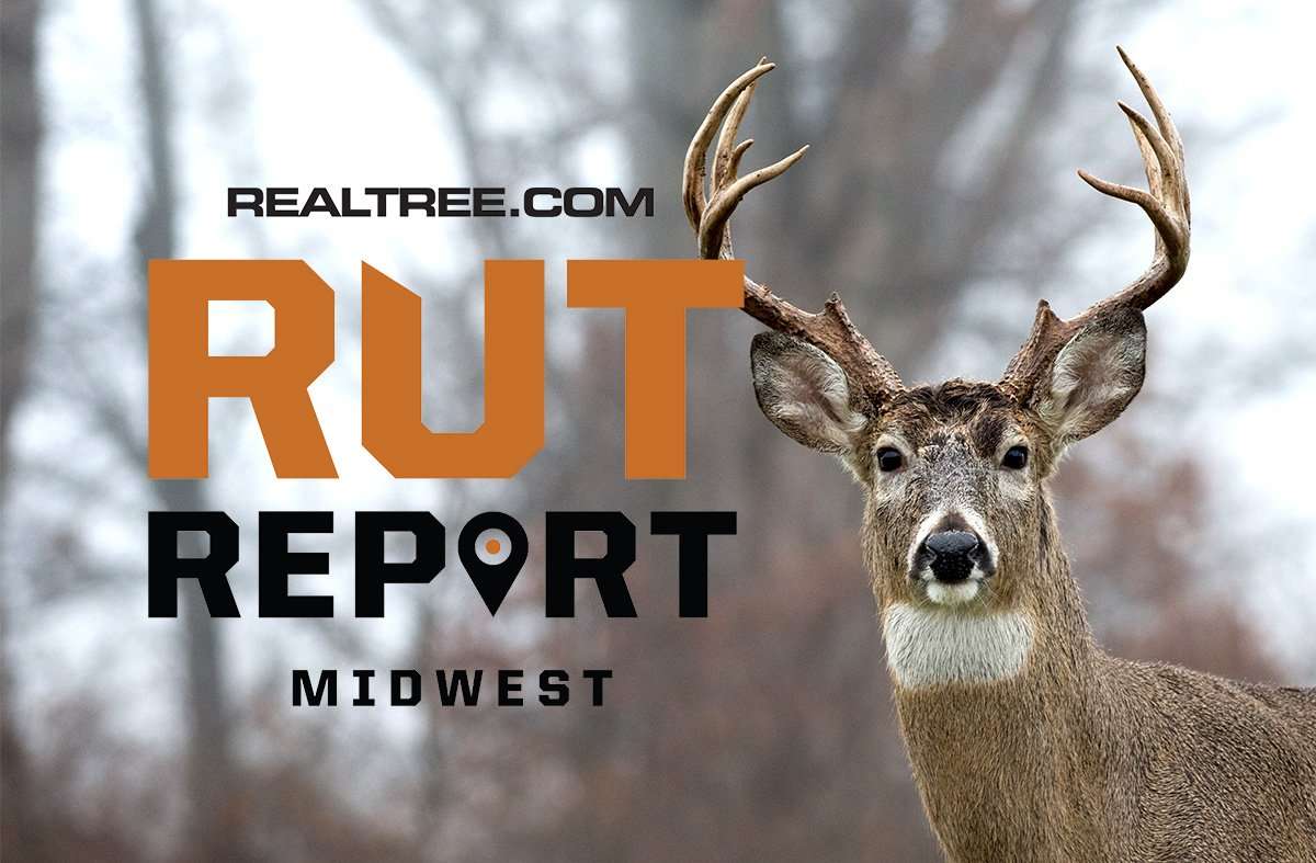 Midwest Rut Report: Bucks Returning to Feeding Patterns - ctony_campbell-shutterstock-mw_0