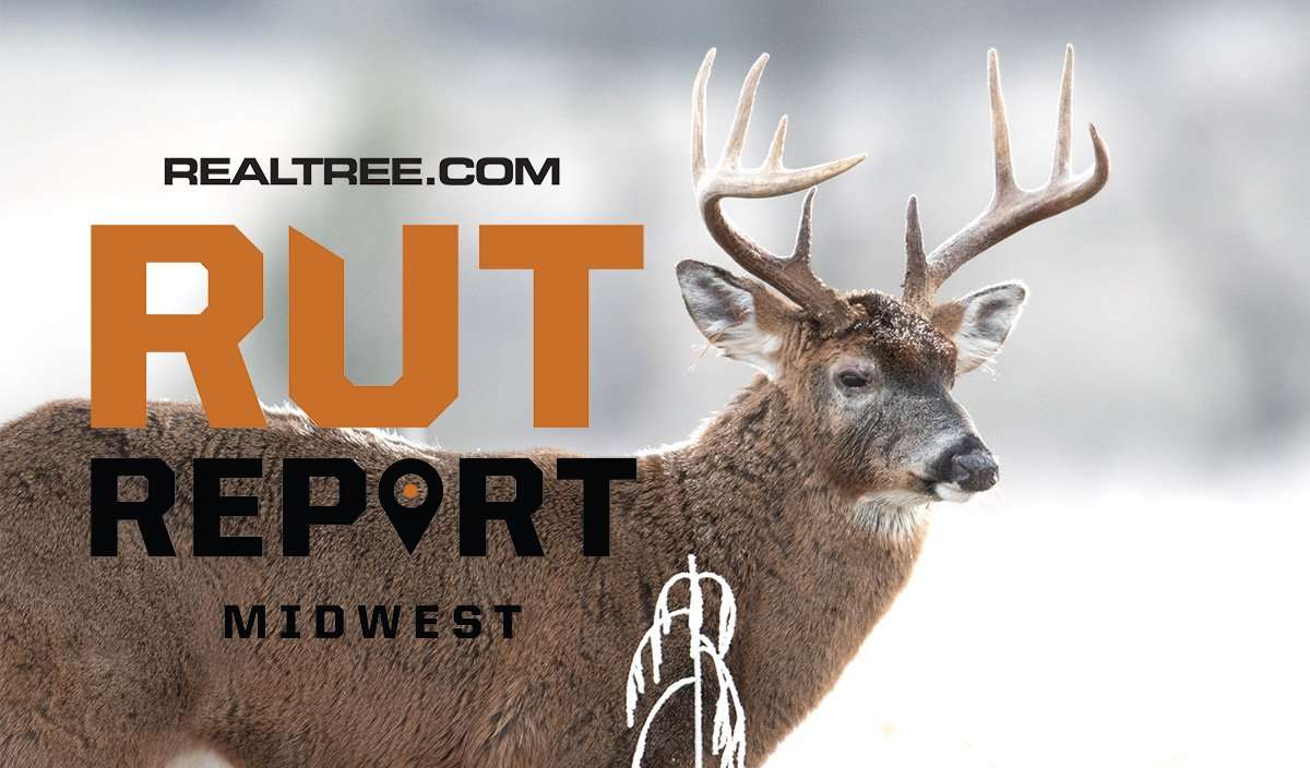 Midwest Rut Report: The Rut's Over, but Good Late-Season Hunting Ahead - ctony_campbell-shutterstock-mw_1
