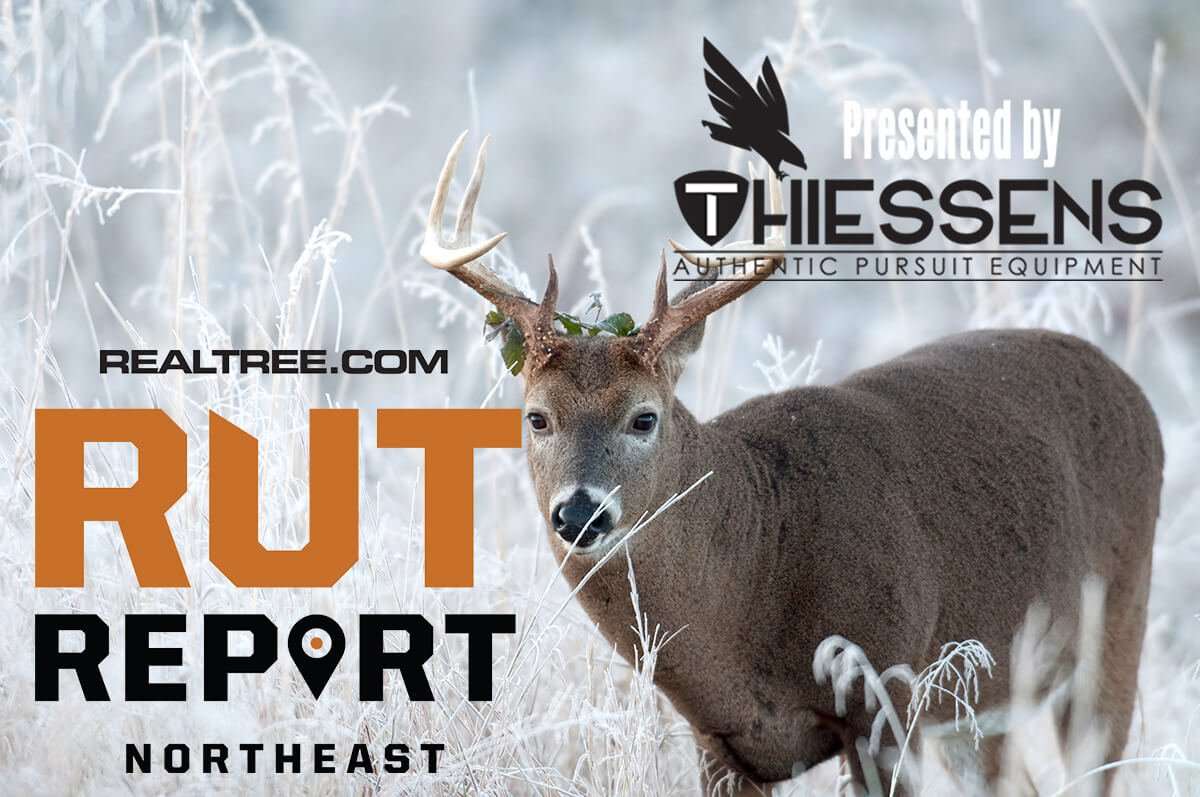 Northeast Rut Report: The Rut Is Winding Down - Realtree Camo