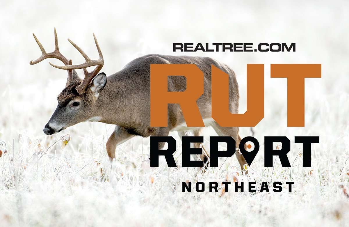 Northeast Rut Report: Slower Overall, but Some Big Deer Still Moving - ctony_campbell-shutterstock-ne_1