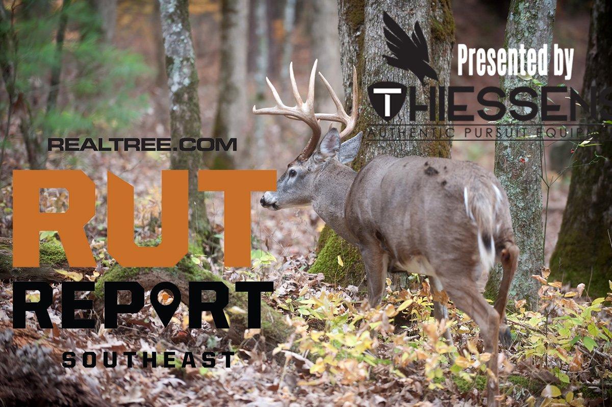 Southeast Rut Report: Rut is Rolling in a Few States, Over in Others - ctony_campbell-shutterstock-se