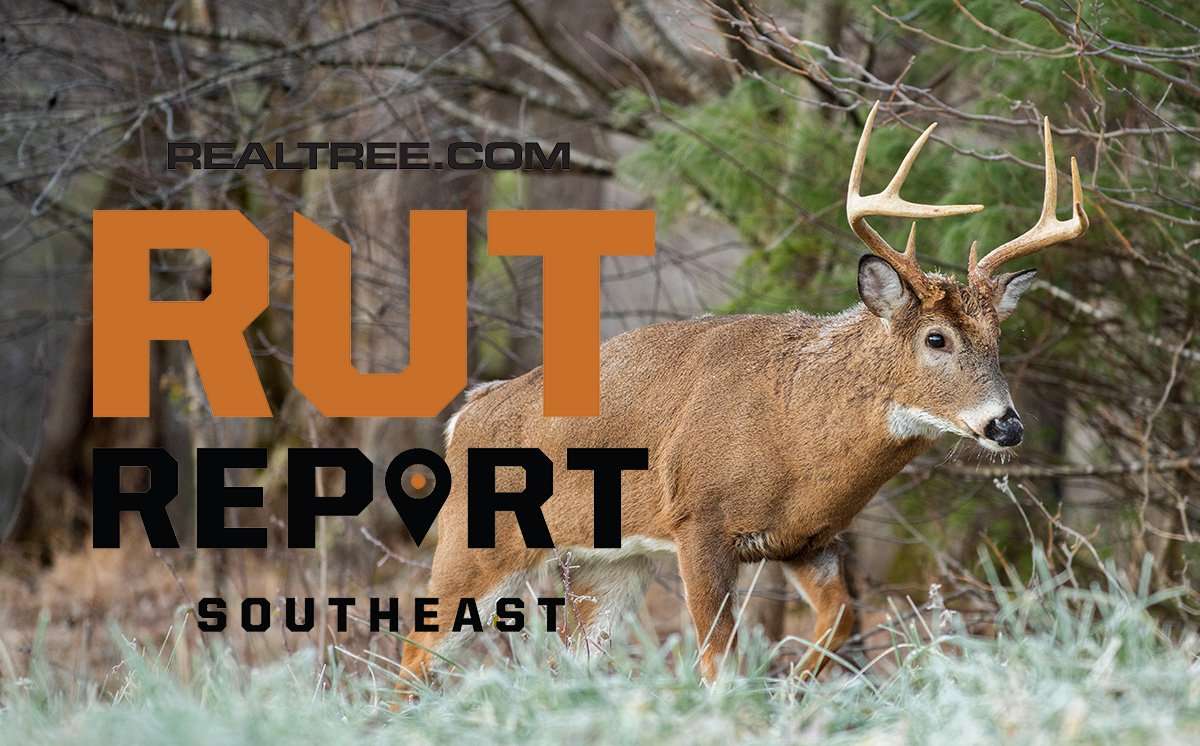 Southeast Rut Report: Rut Action Heats Up in Deep South - ctony_campbell-shutterstock-se_4
