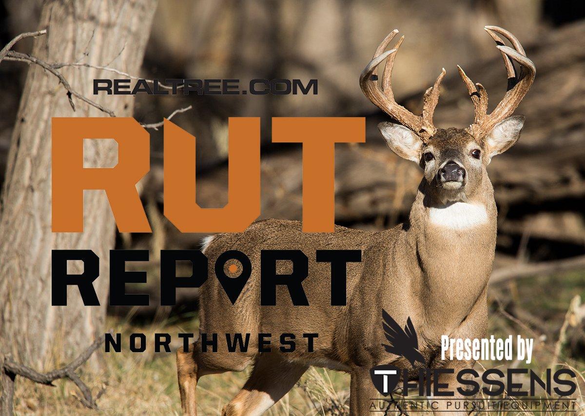 Northwest Rut Report: Pack Your Rain Gear This Weekend - cwilliam_t_smith-shutterstock-nw