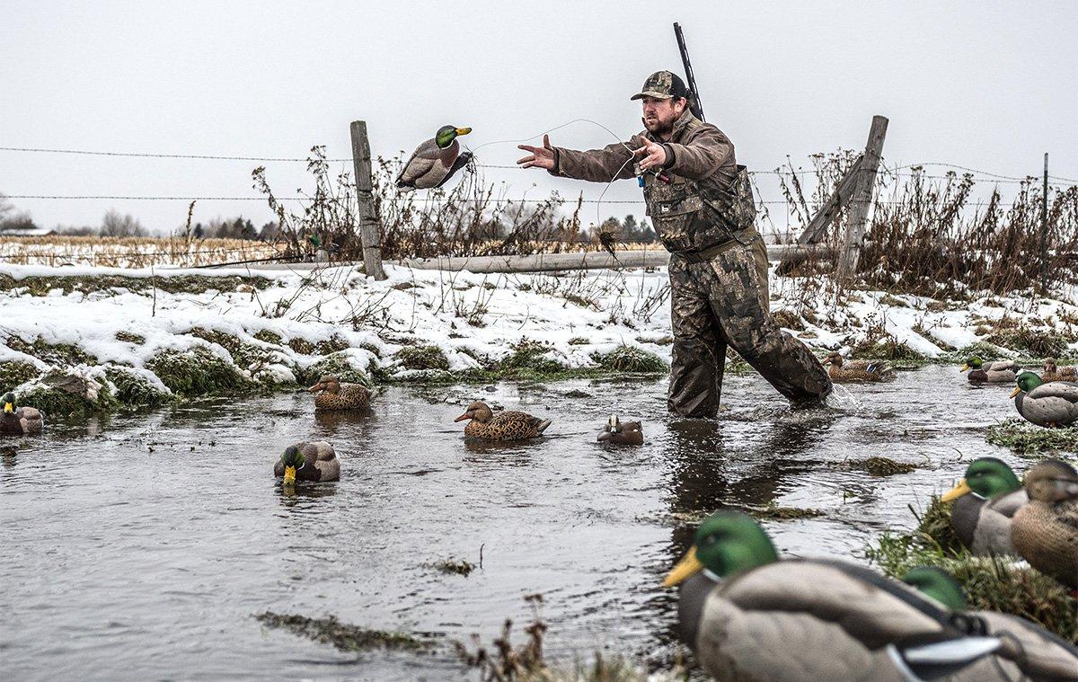 Mallards might be the most beloved yet frustrating duck on the planet. Photo © Zach LaBorde