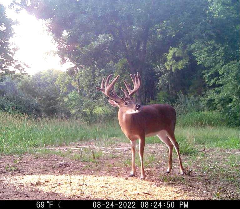 This northern Kentucky whitetail was bagged near a suburban area. Image courtesy of Darren Borgman