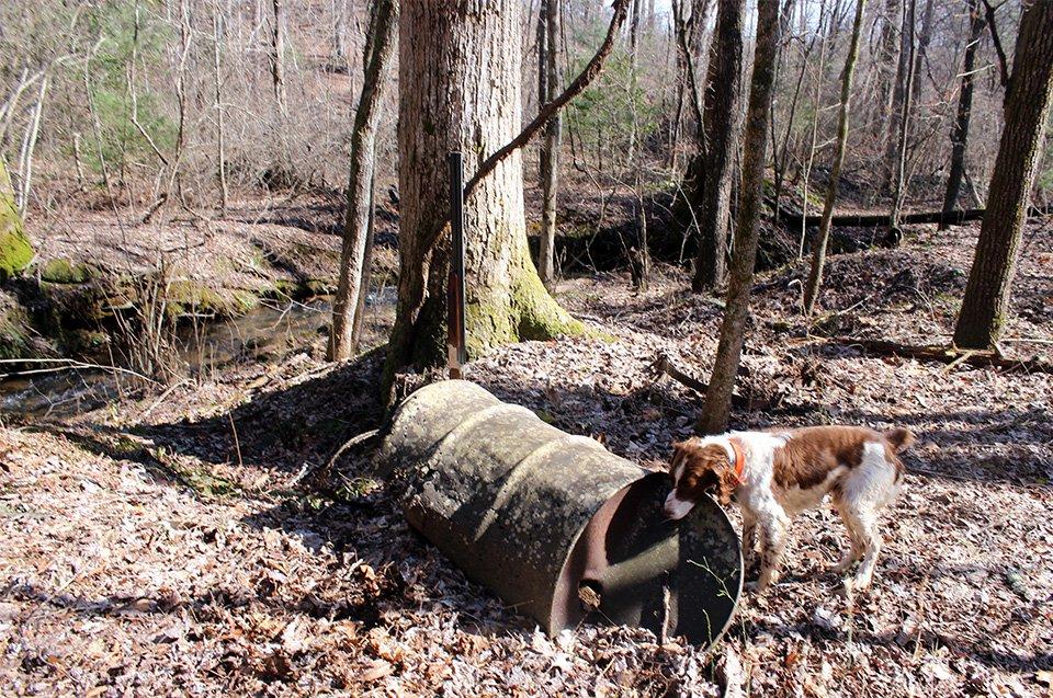 Jimmy Jacobs has found many moonshine stills during his Georgia hunts. (Image by Jimmy Jacobs)