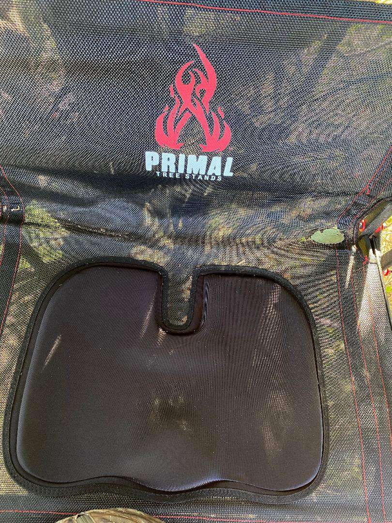 Blanton's comfortable perch for the week. Image by David Blanton Blanton's comfortable perch for the week. Image by David Blanton