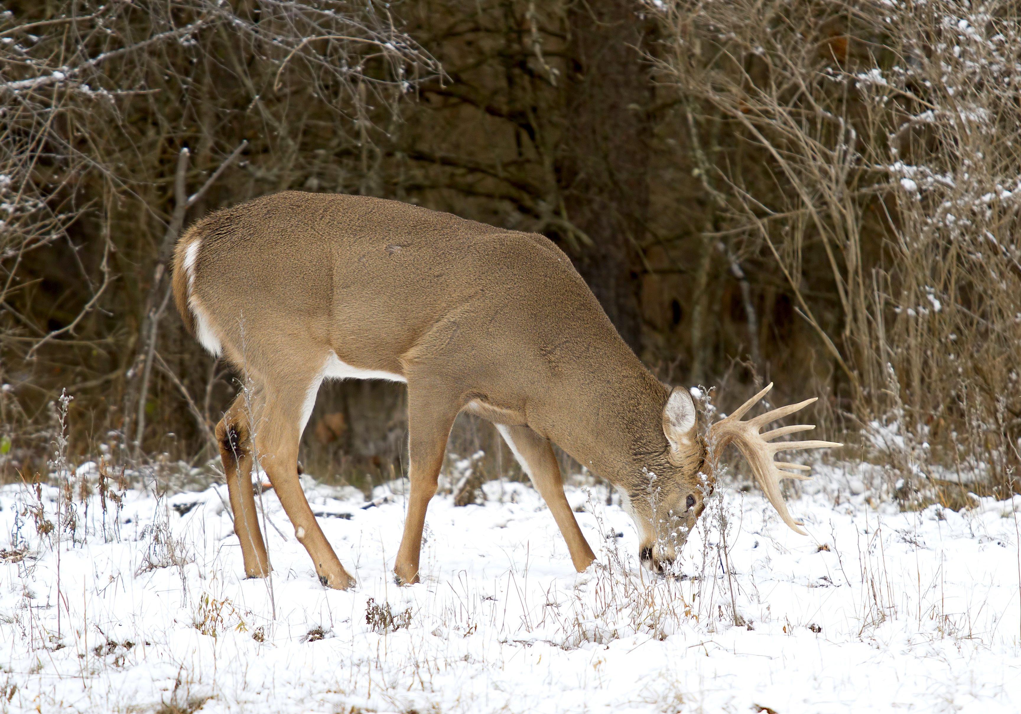 Image: december_plan_11