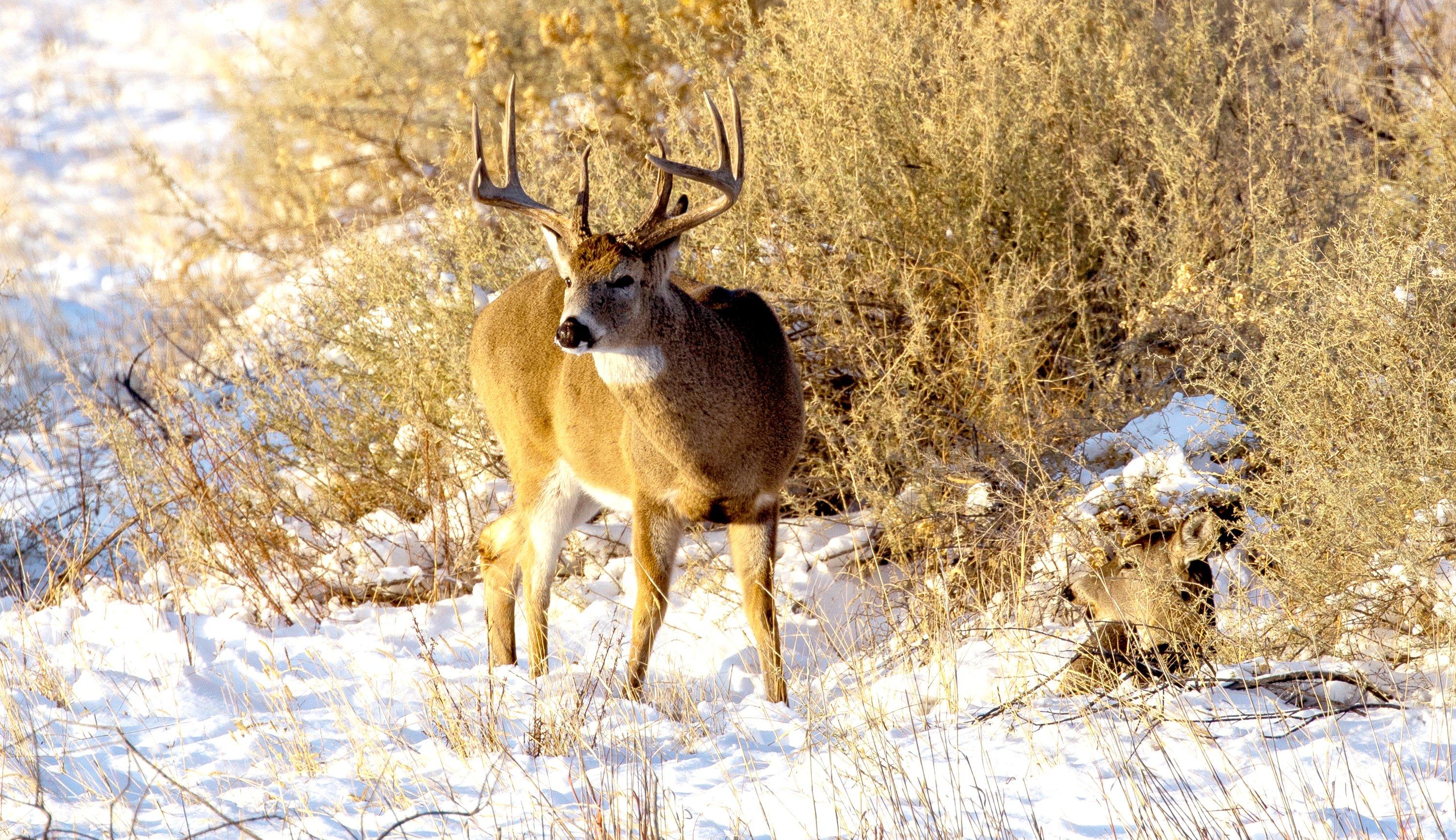 Image: december_plan_4