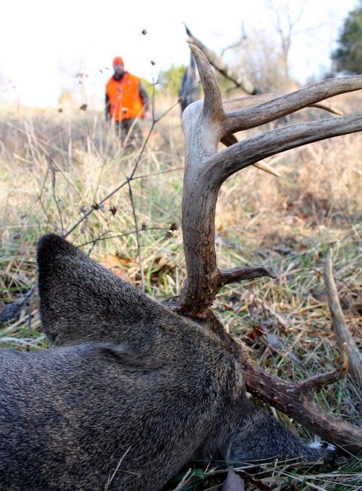 Available licenses, zone changes, Sunday hunting laws and many other changes will go into effect in 2020. (Josh Honeycutt photo)