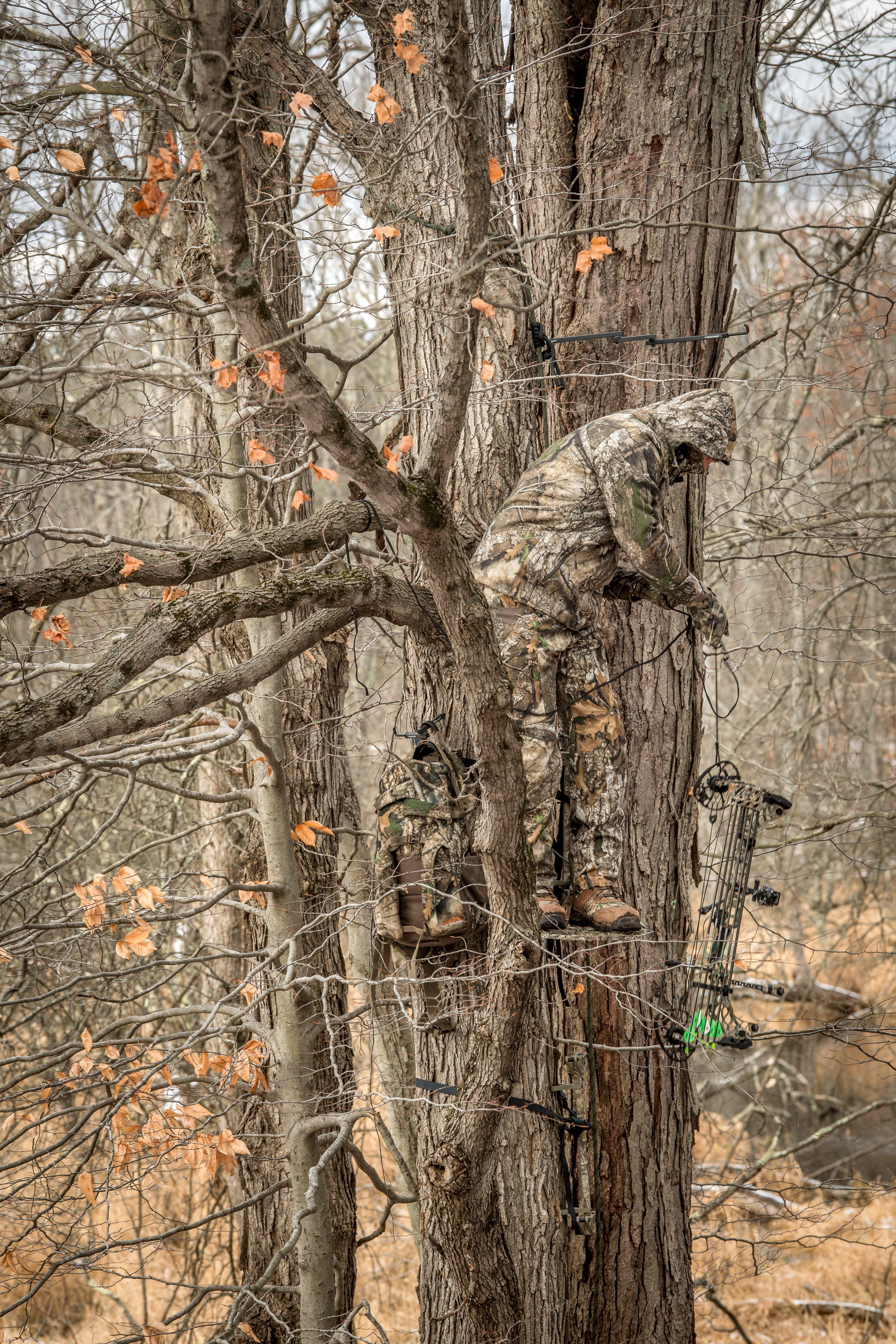 Image: deer_days_8