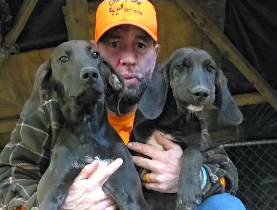 Image: deer_dogging_14